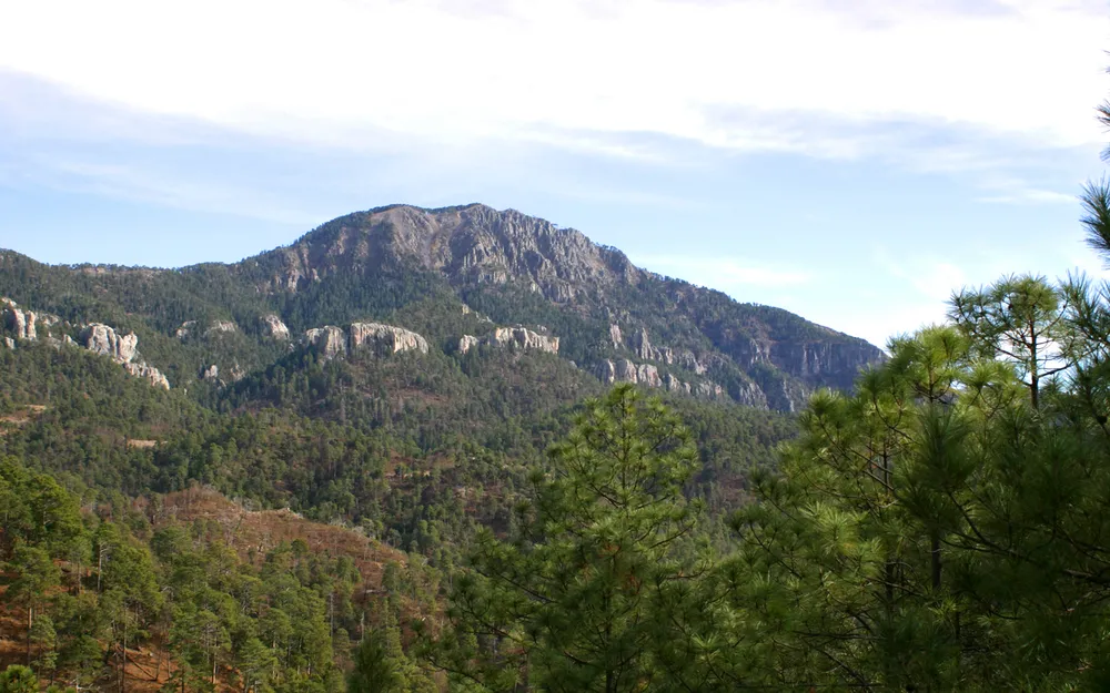 Cerro Mohinora