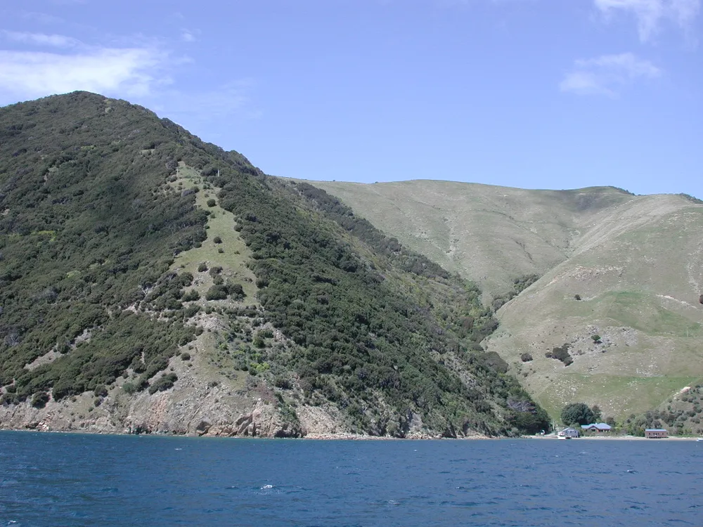 Forsyth Island