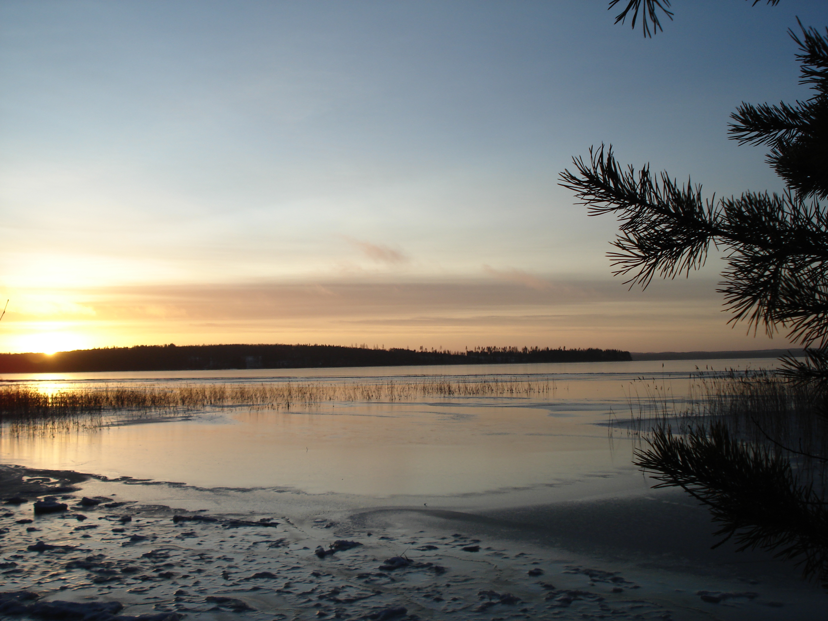 Vuohijärvi