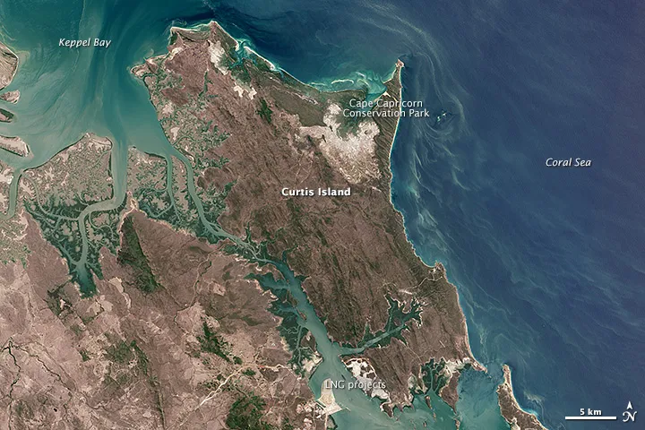 Curtis Island National Park