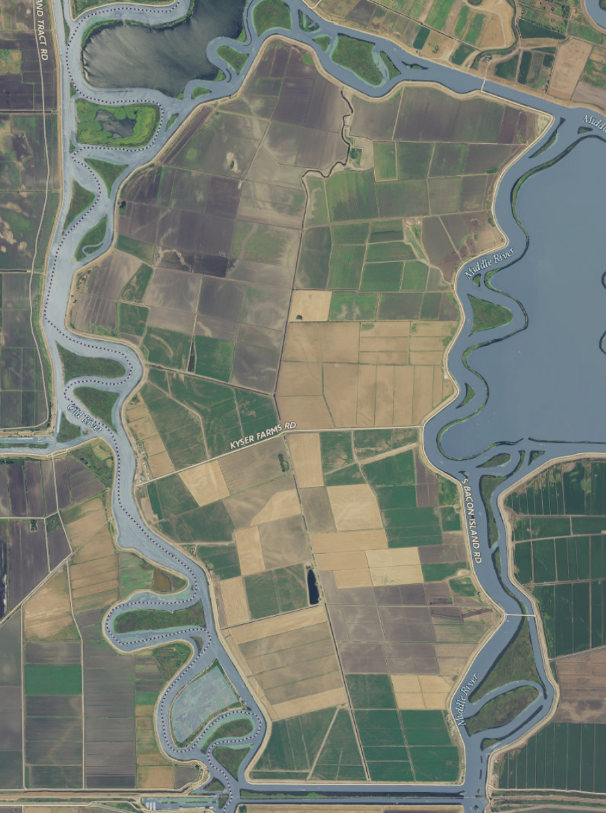 Bacon Island