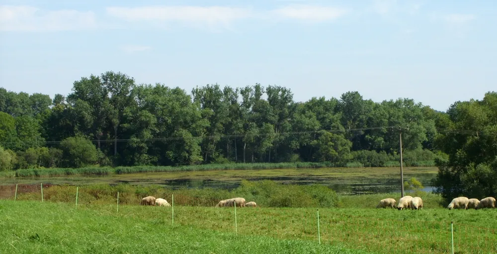 Barner Stücker See