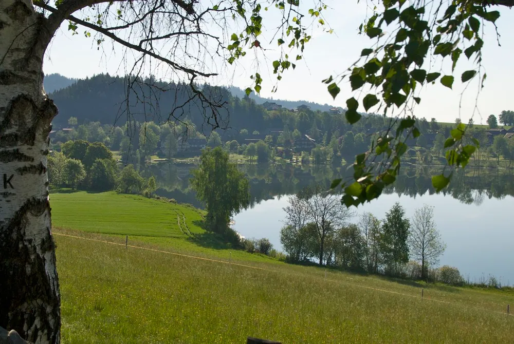 Maltschacher See