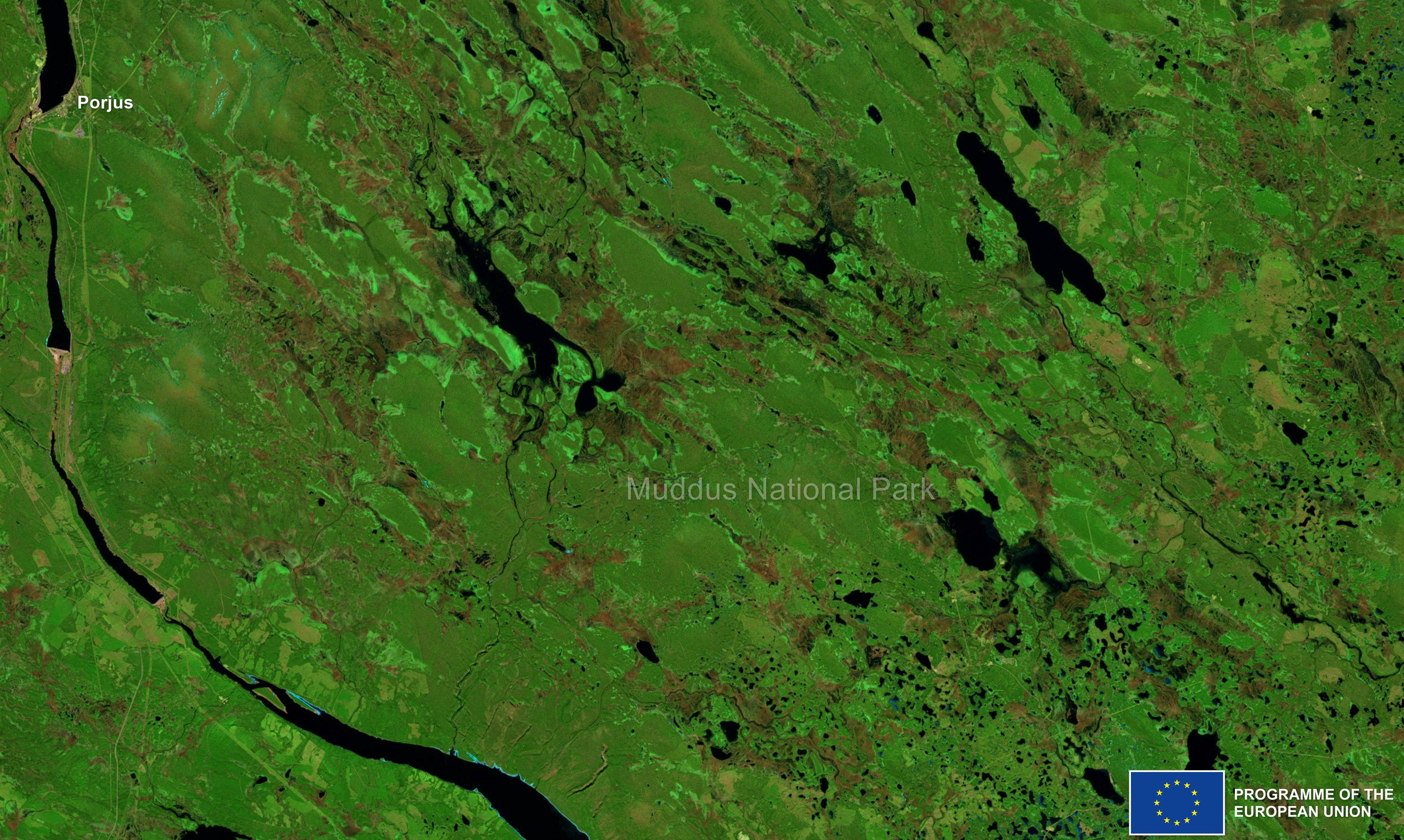 Muddus National Park