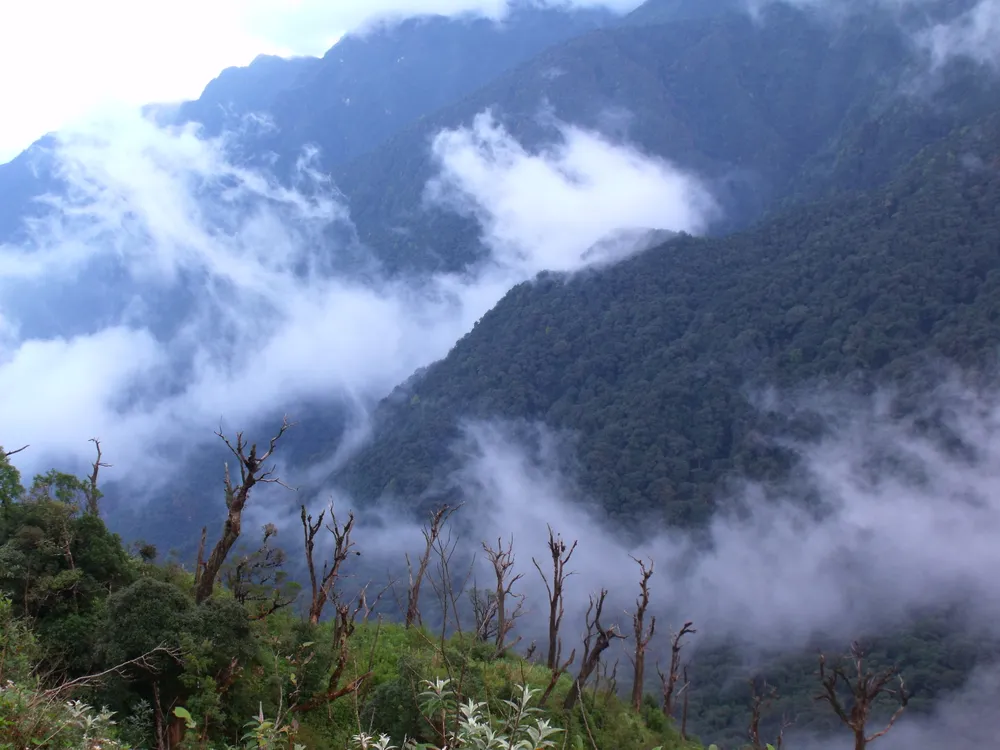 Hoang Lien National Park