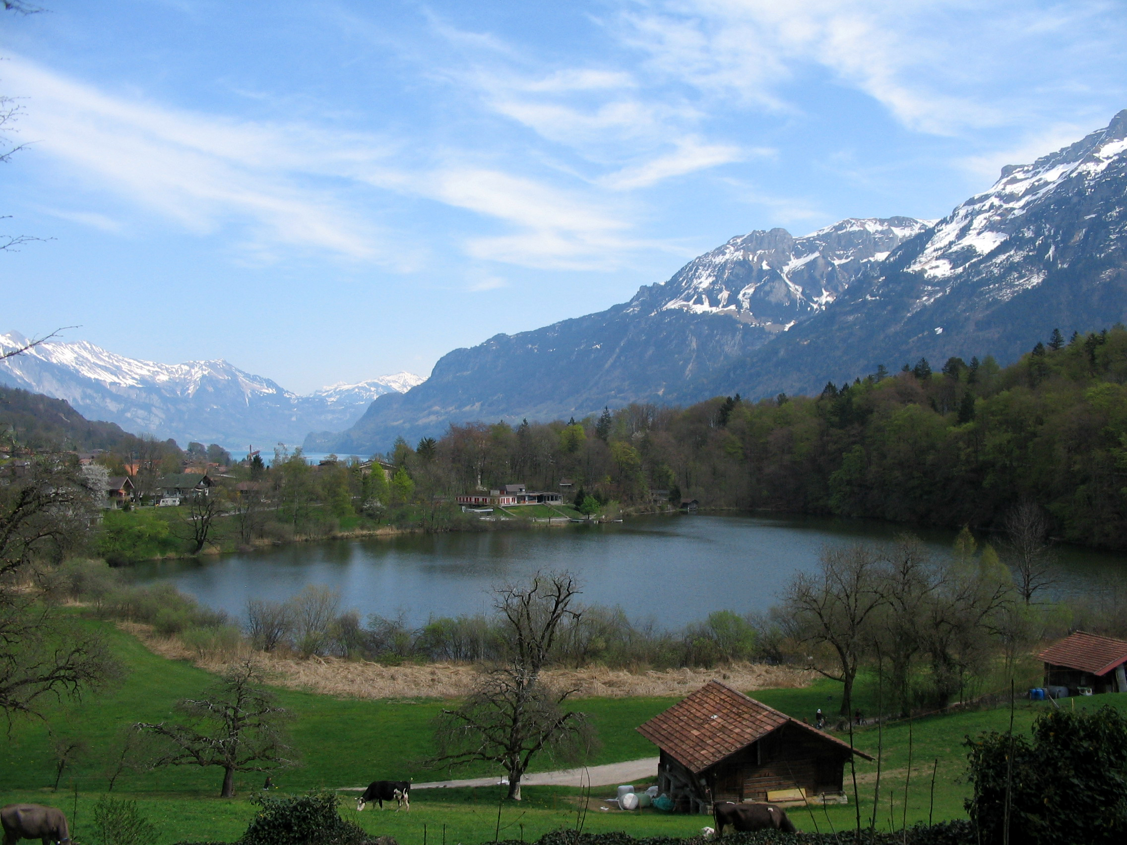 Burgseewli