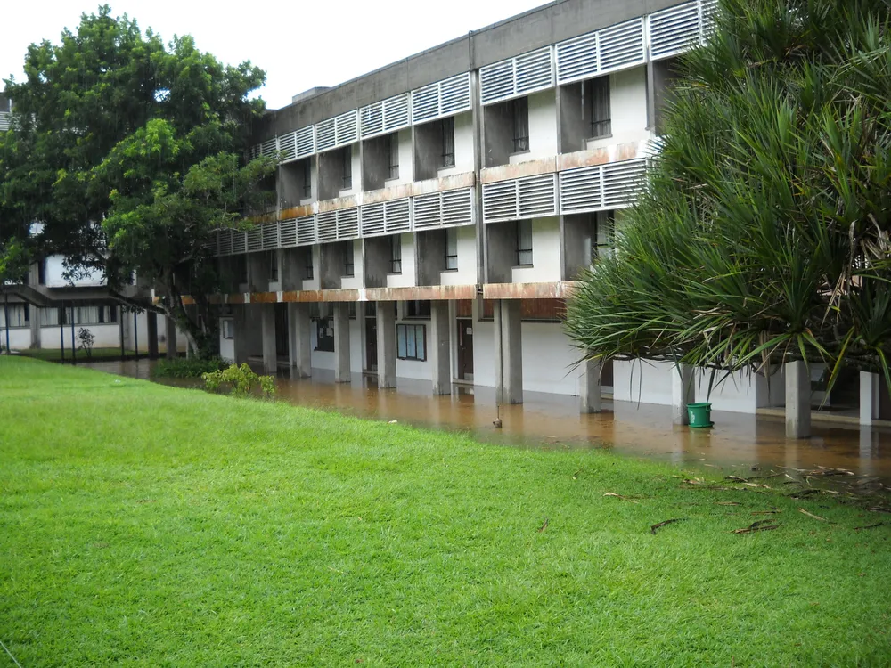 University of Mauritius