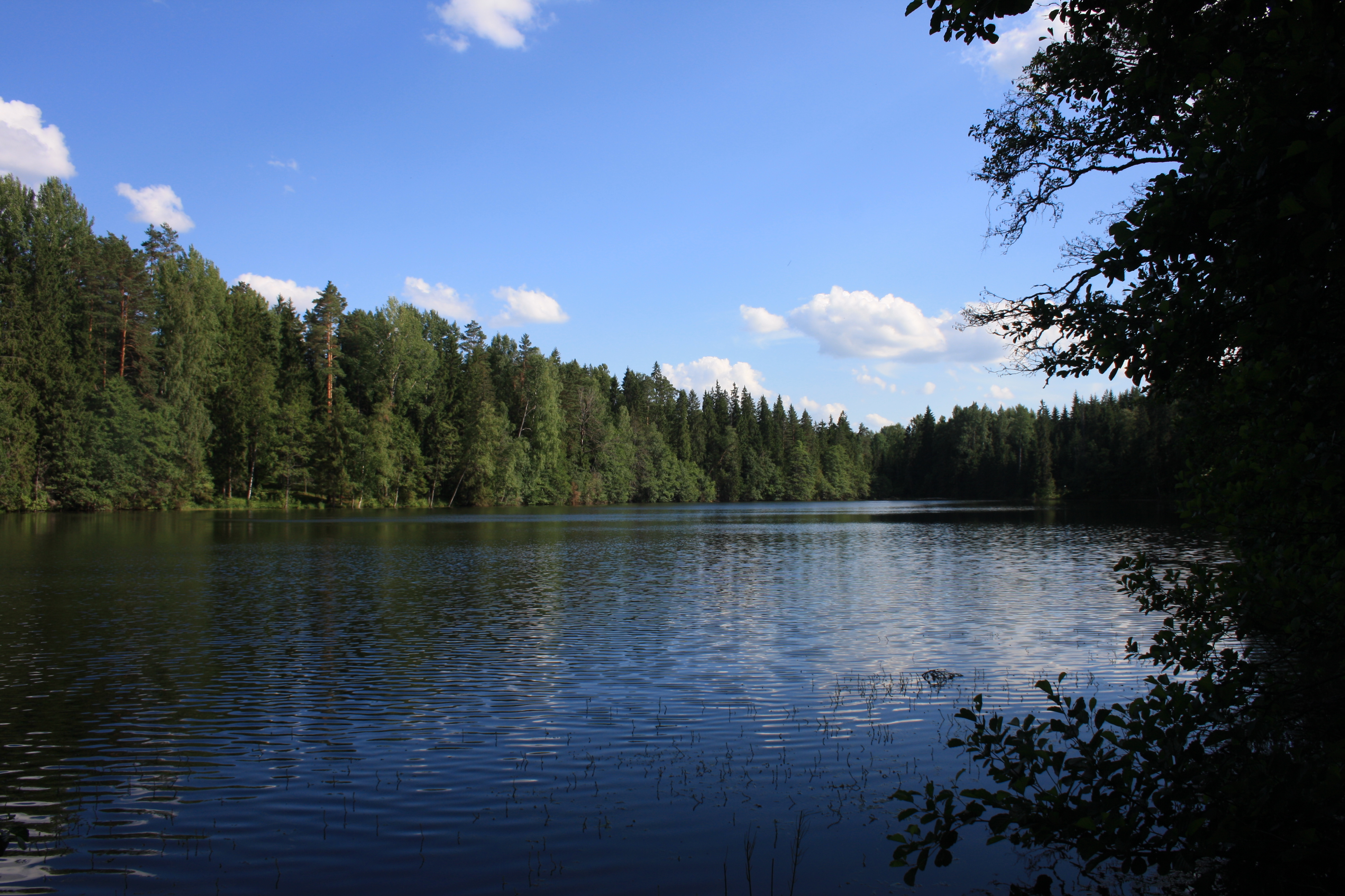 Lake Väike-Palkna