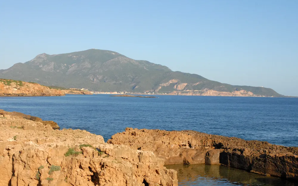 Chenoua