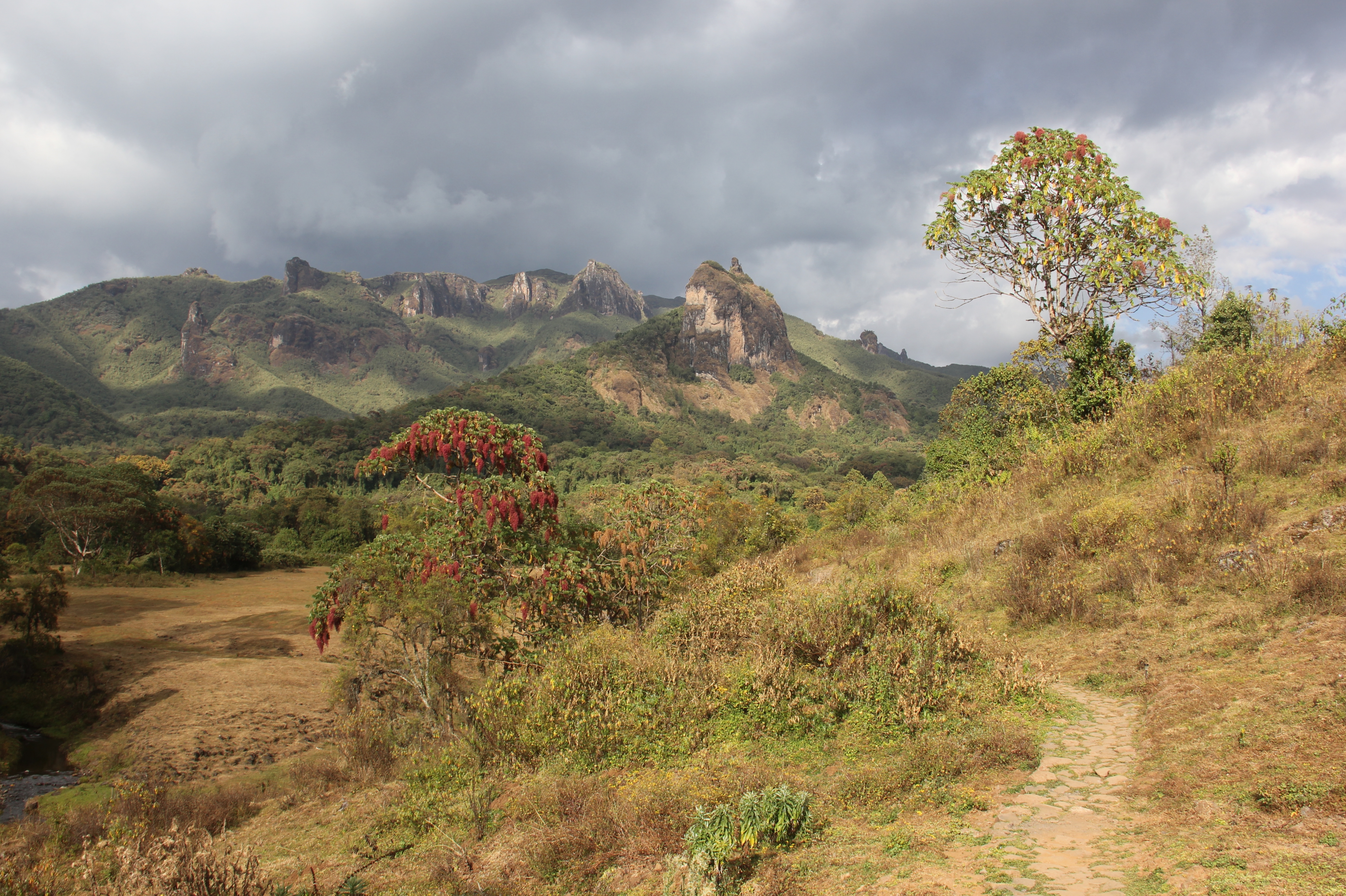 Bale Mountains National Park