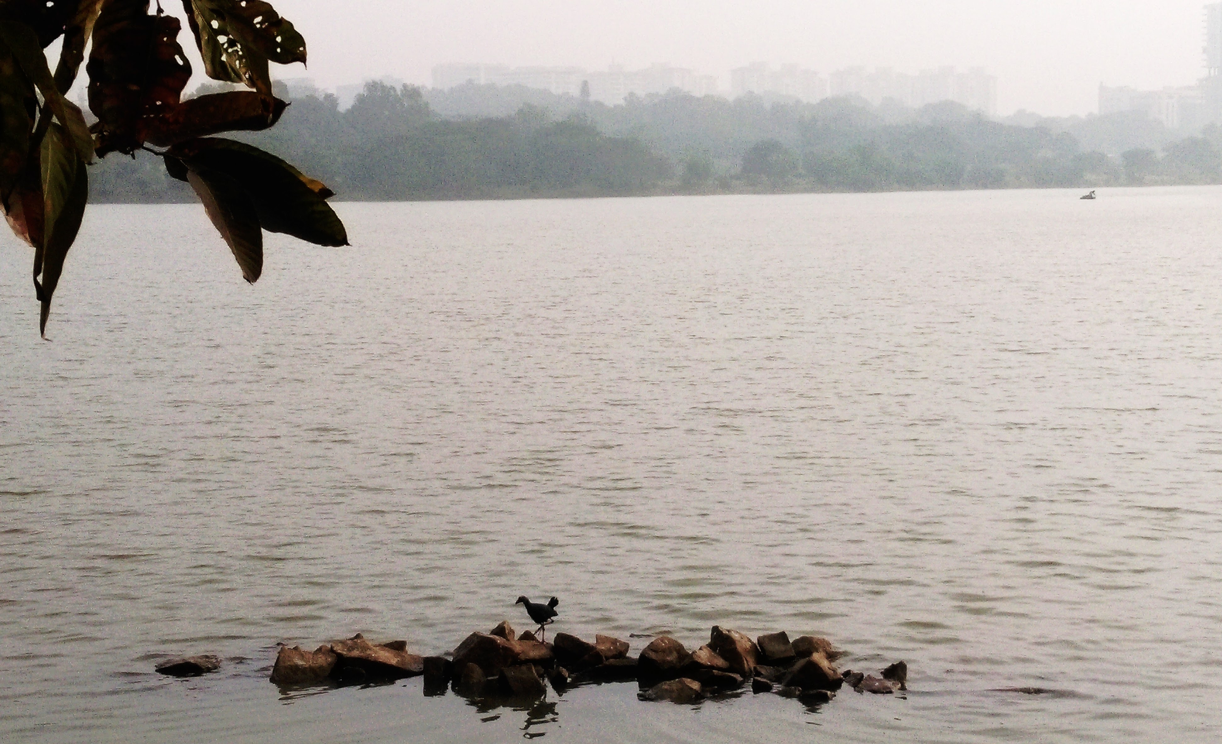 Hebbal lake