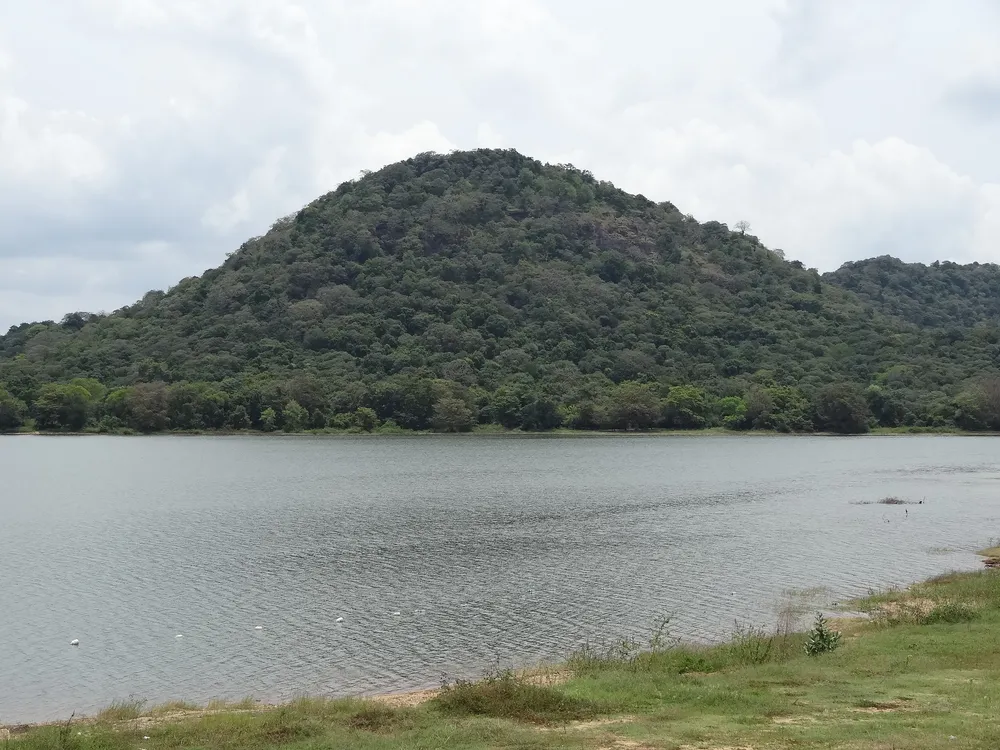 Minneriya tank
