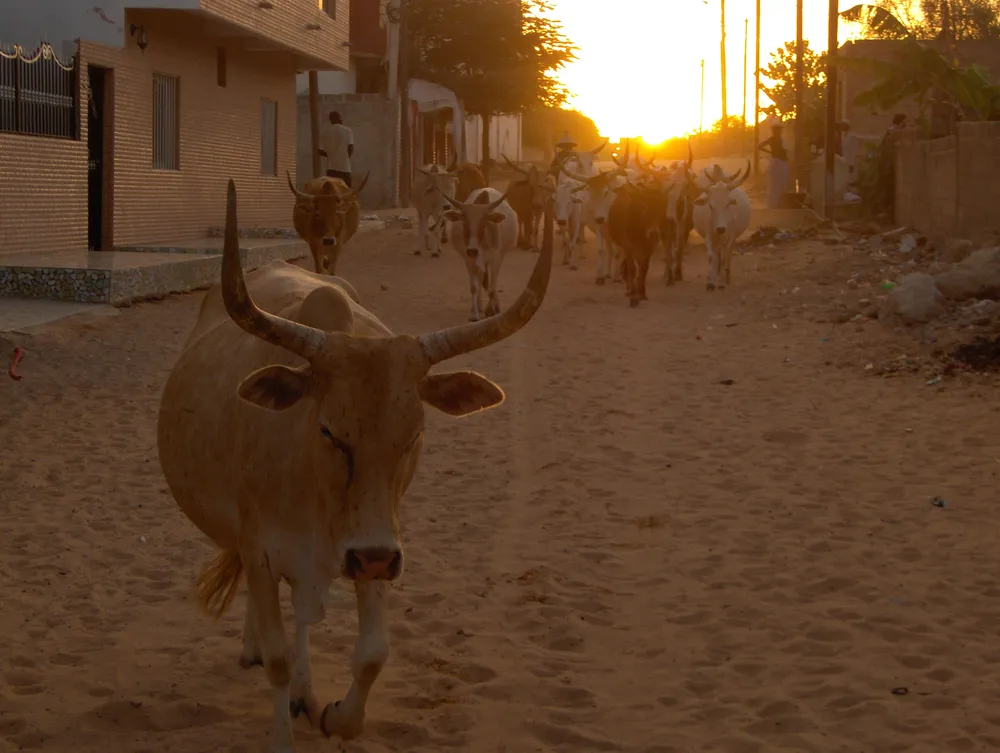 Mboro, Senegal