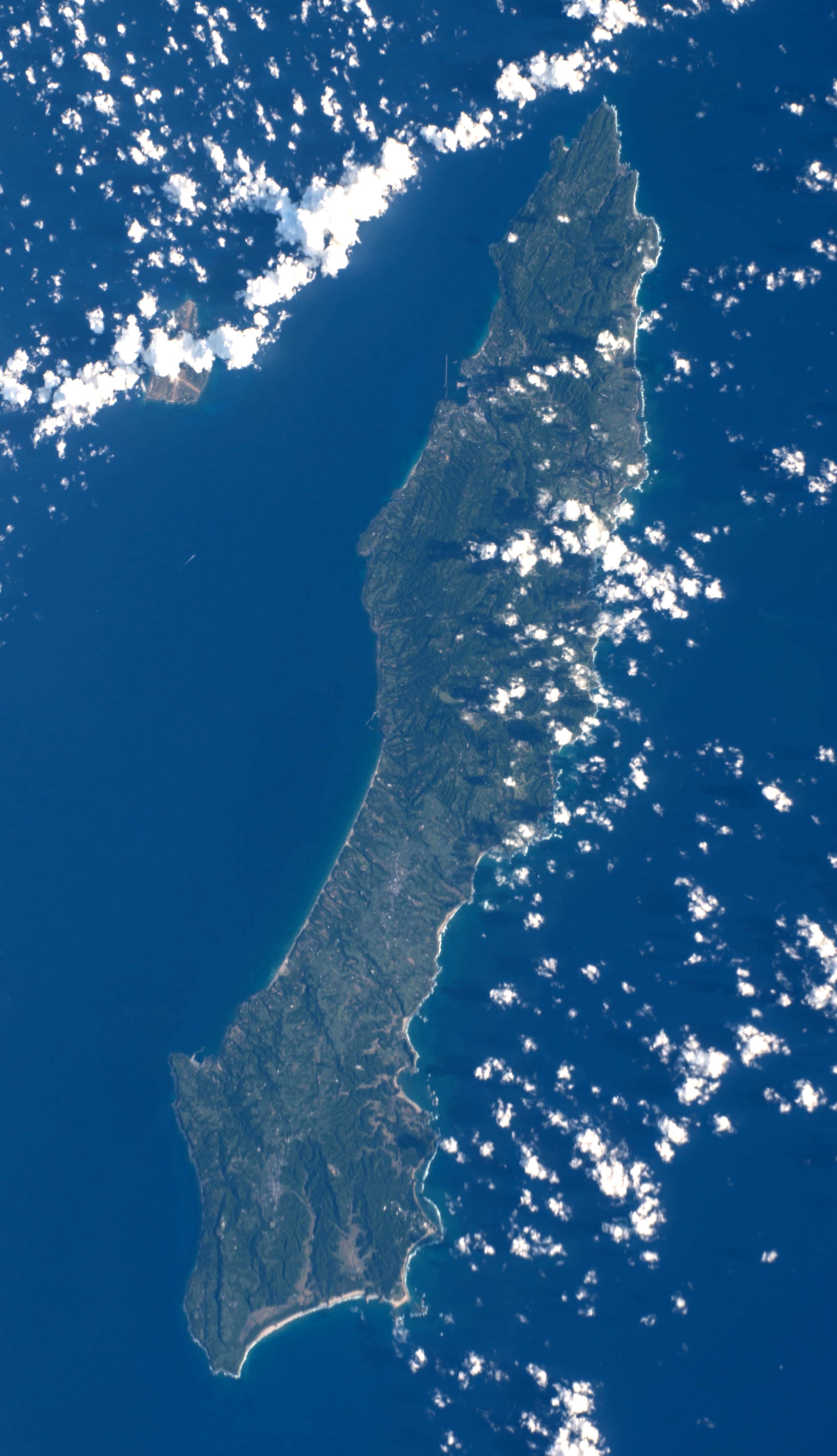 Tanegashima