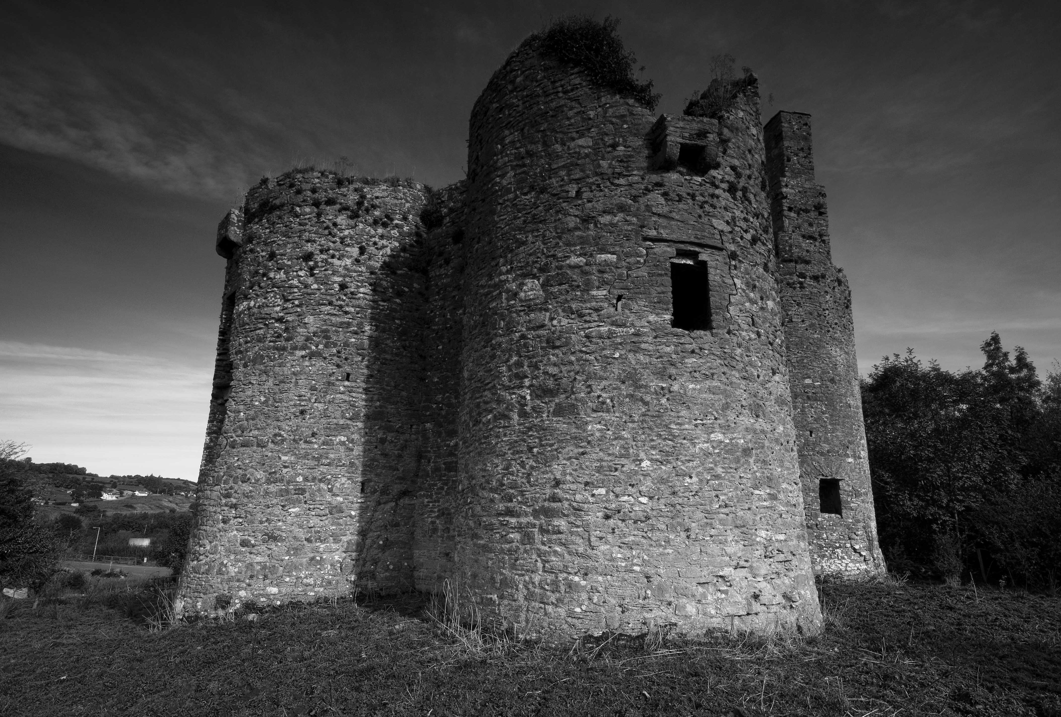 Ballinafad Castle