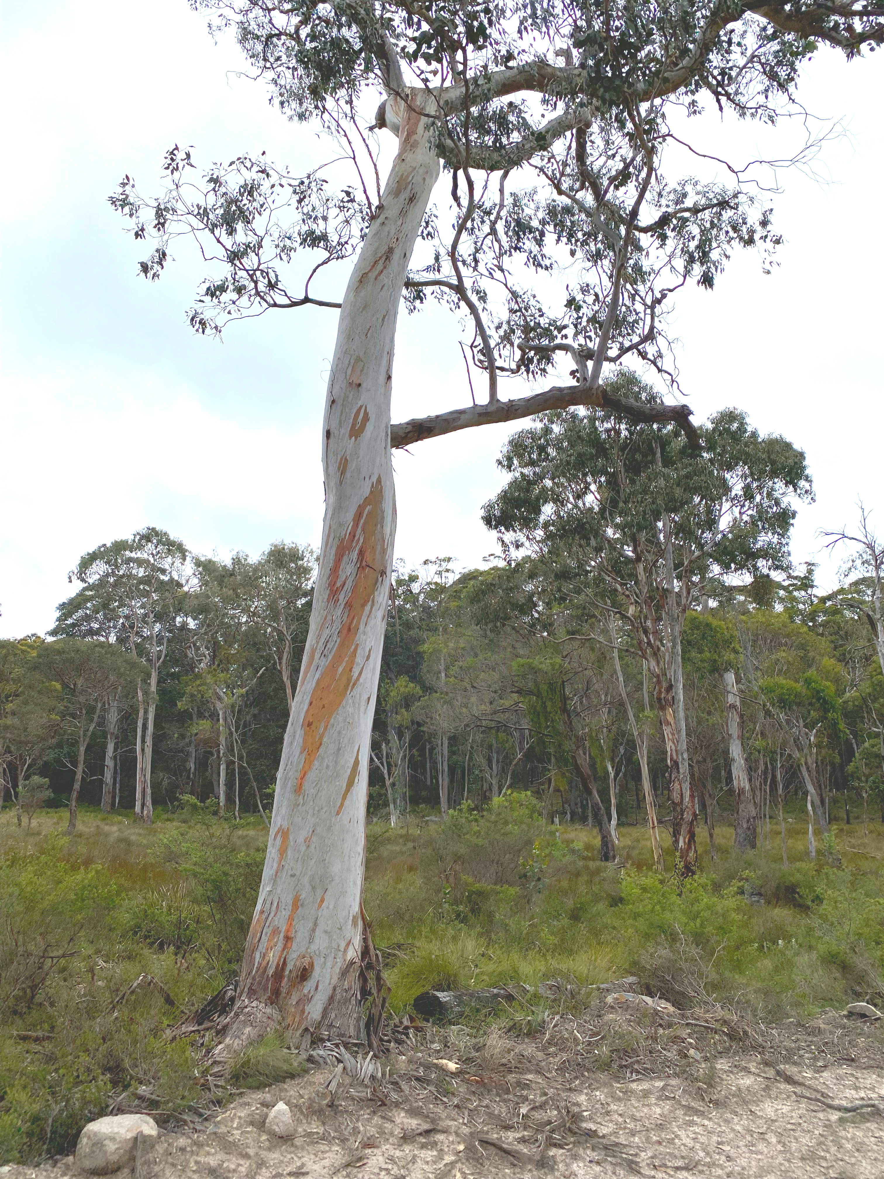 Capoompeta National Park