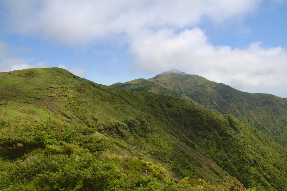 Pico da Vara