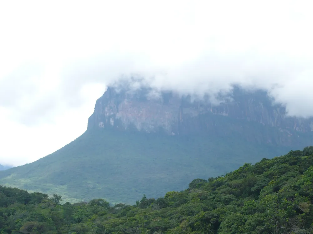 Jaua-Sarisariñama National Park
