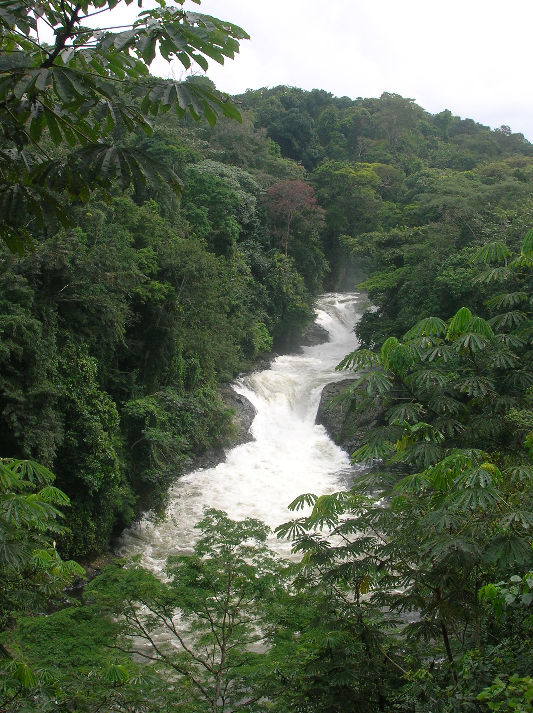 Cross River National Park