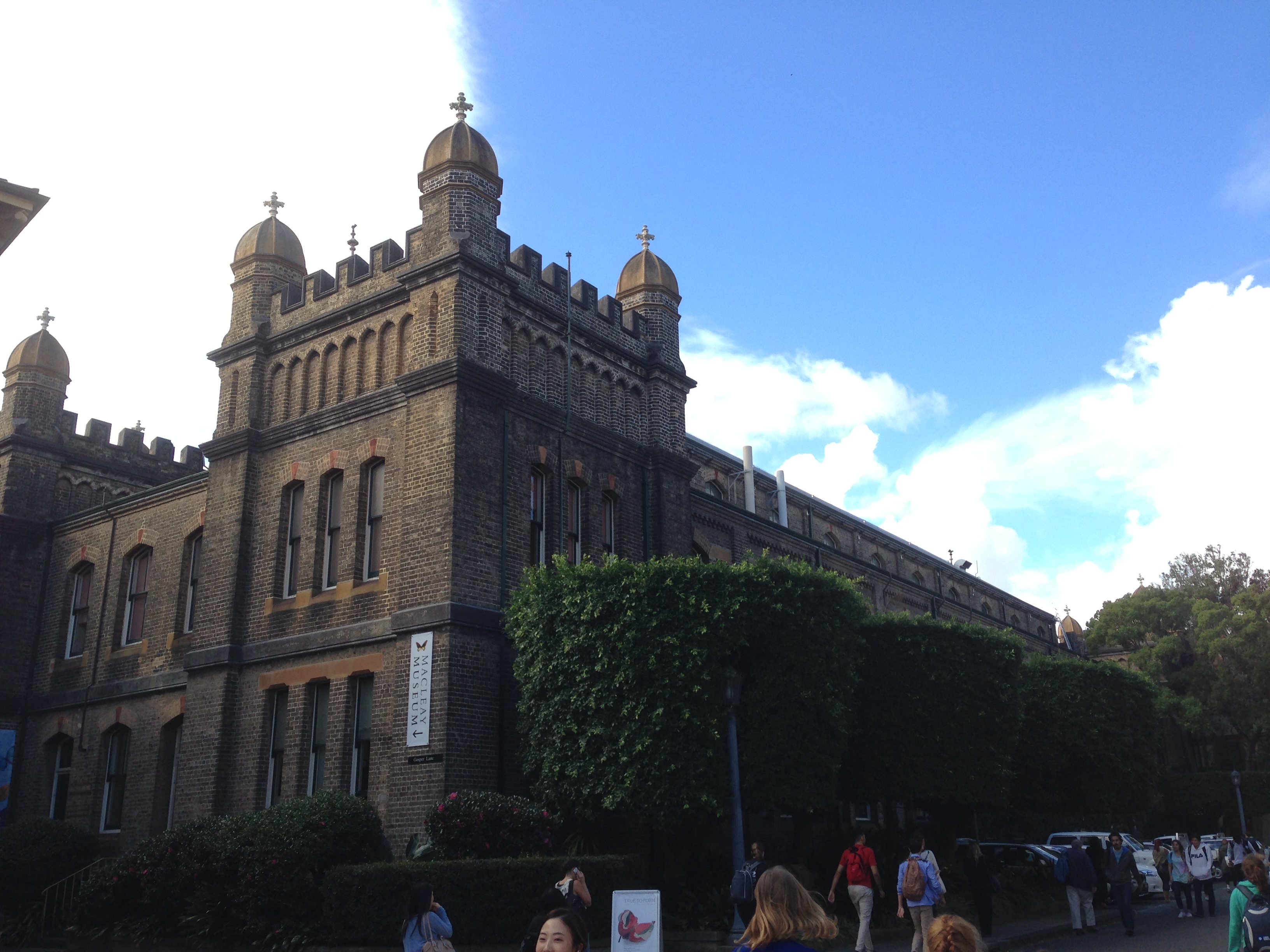 Macleay Museum