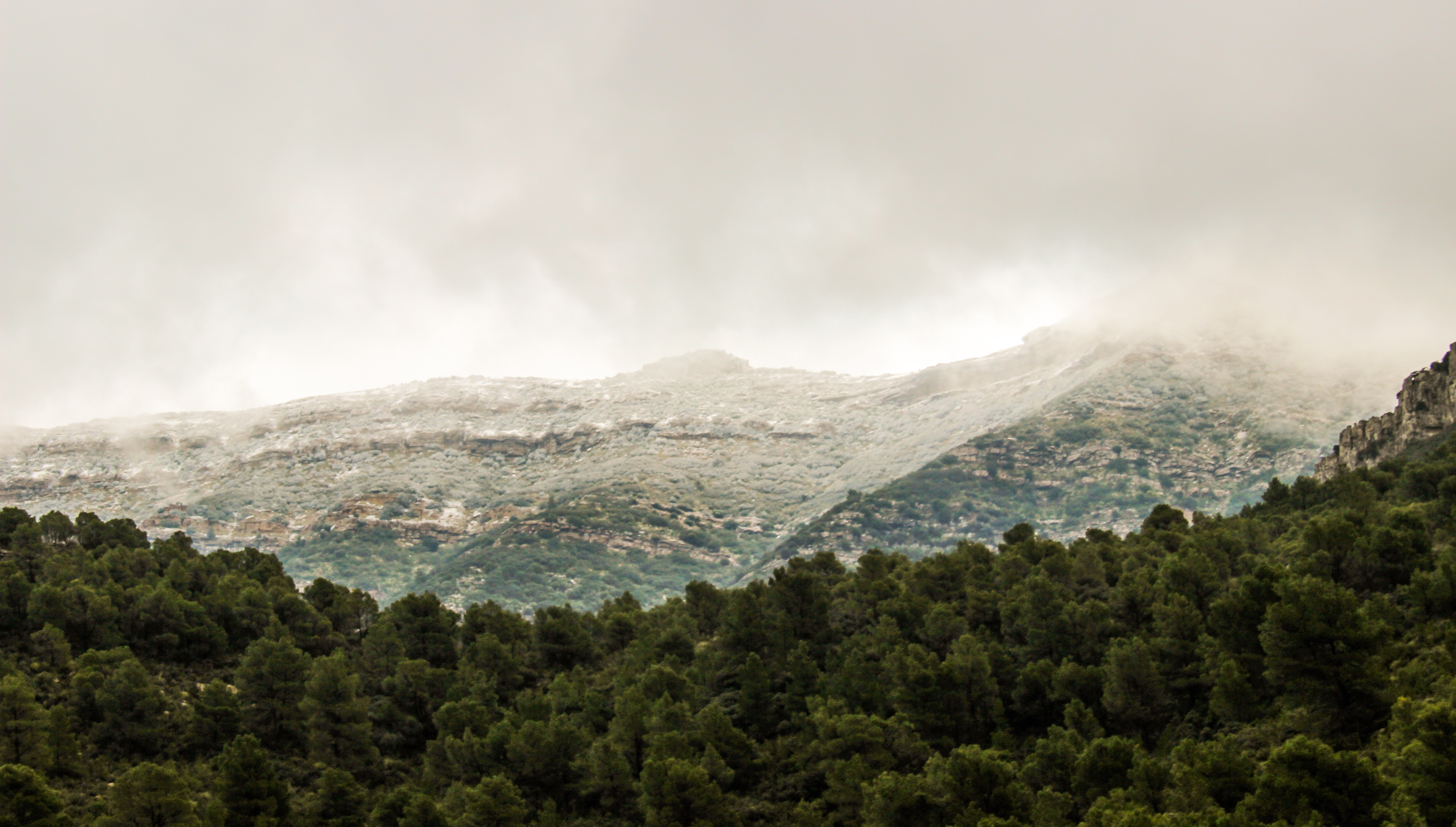 Djebel Serj