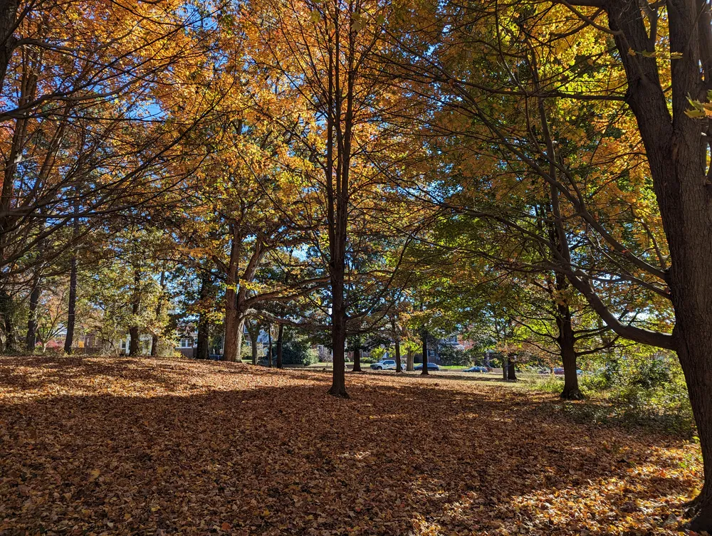 Fort Slocum