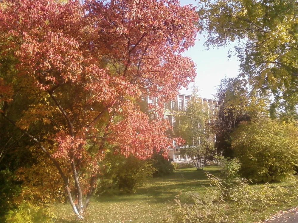 Altai State Technical University