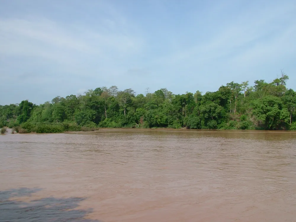 Yok Don National Park