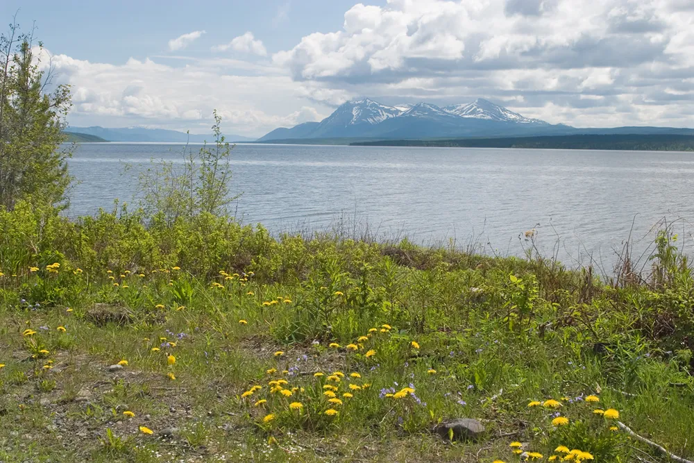 Teslin Lake