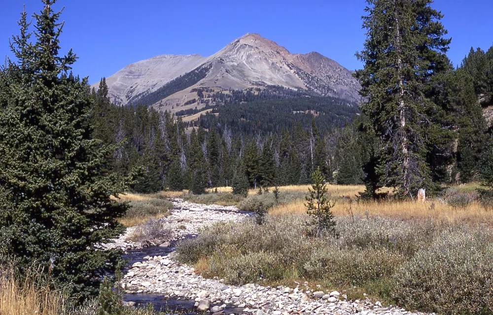 Electric Peak