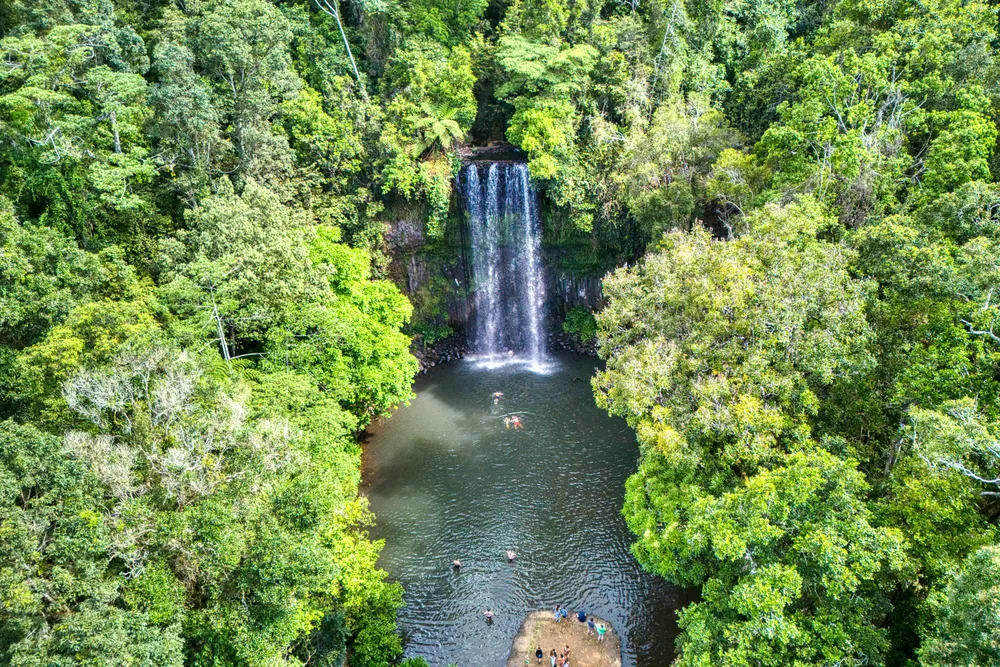 Millaa Millaa Falls