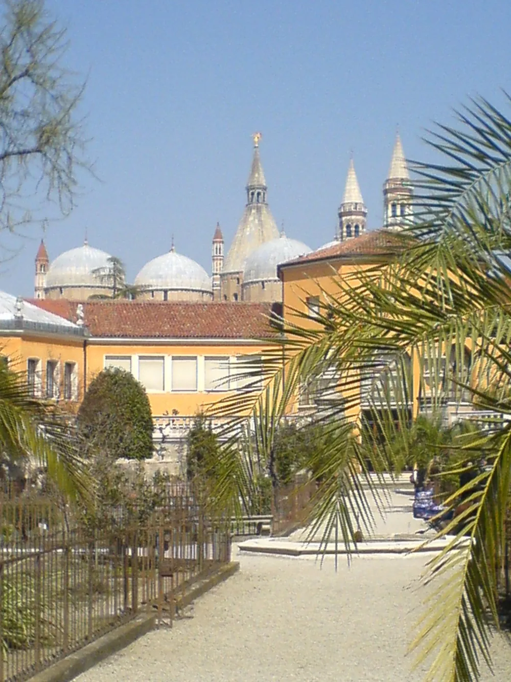 Padova botanical garden