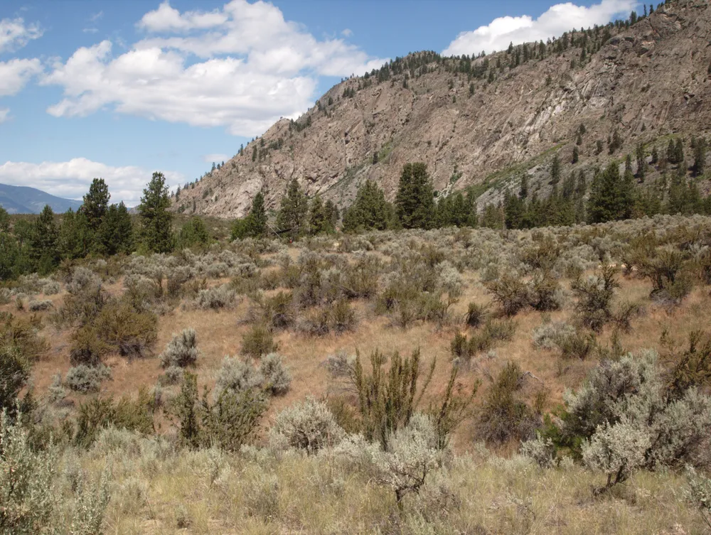 South Okanagan-Similkameen National Park Reserve
