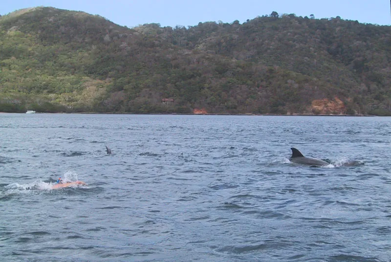 Chaguaramas, Trinidad and Tobago