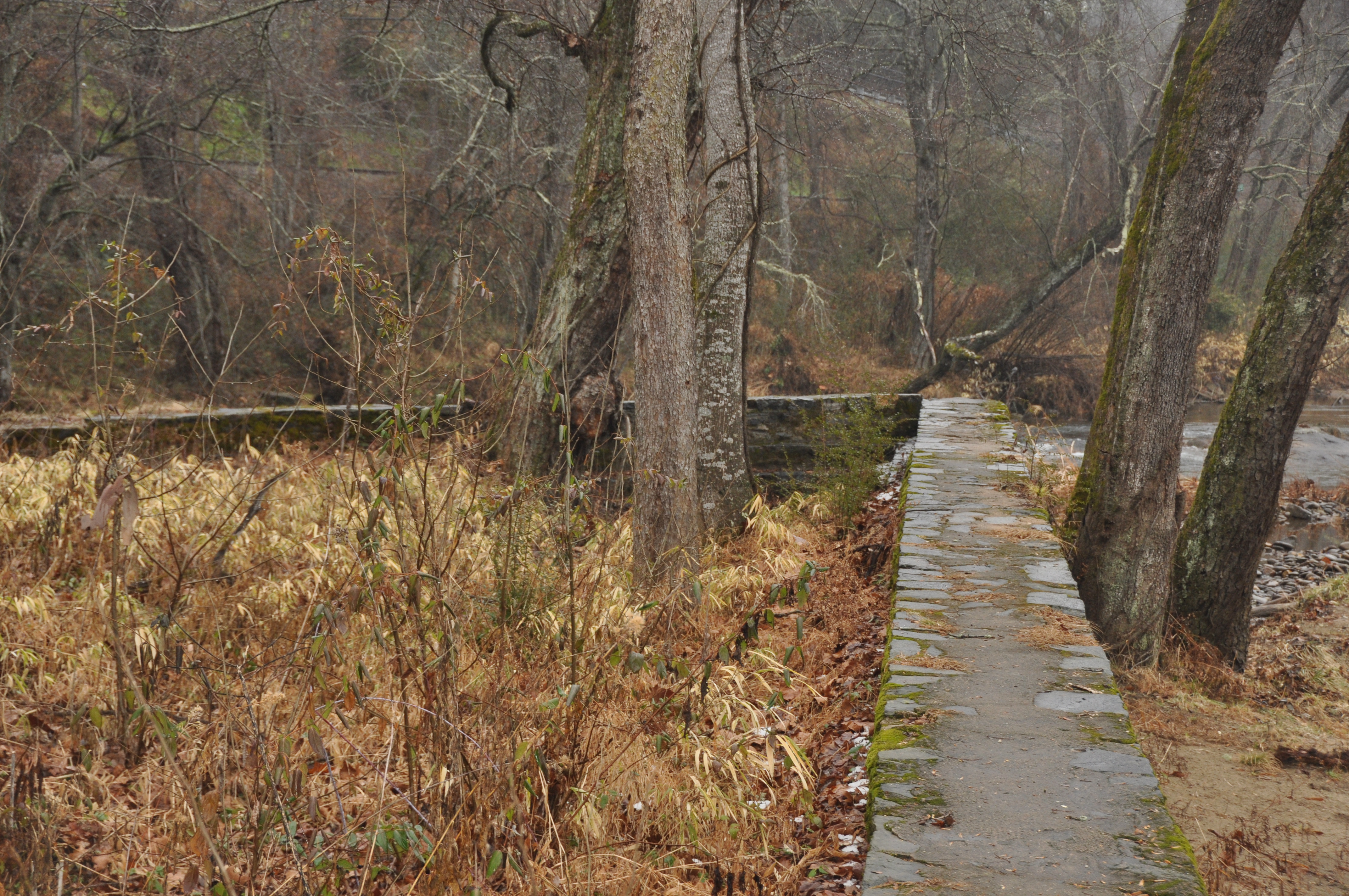 Bryson City Island Park