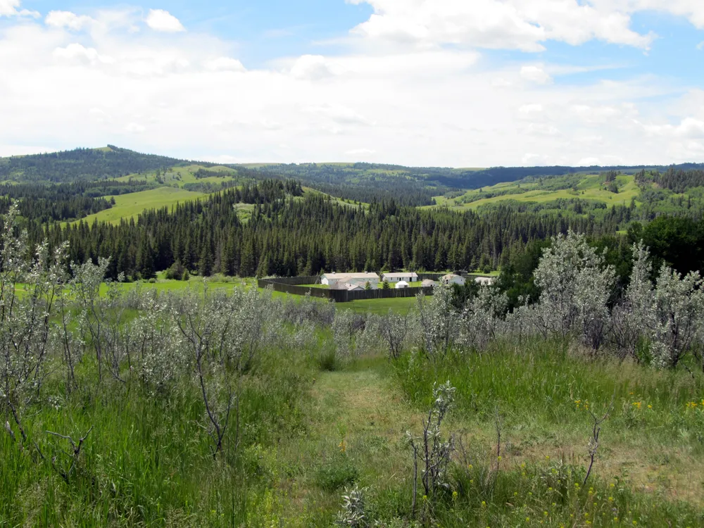 Fort Walsh