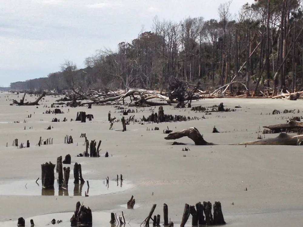 Capers Island