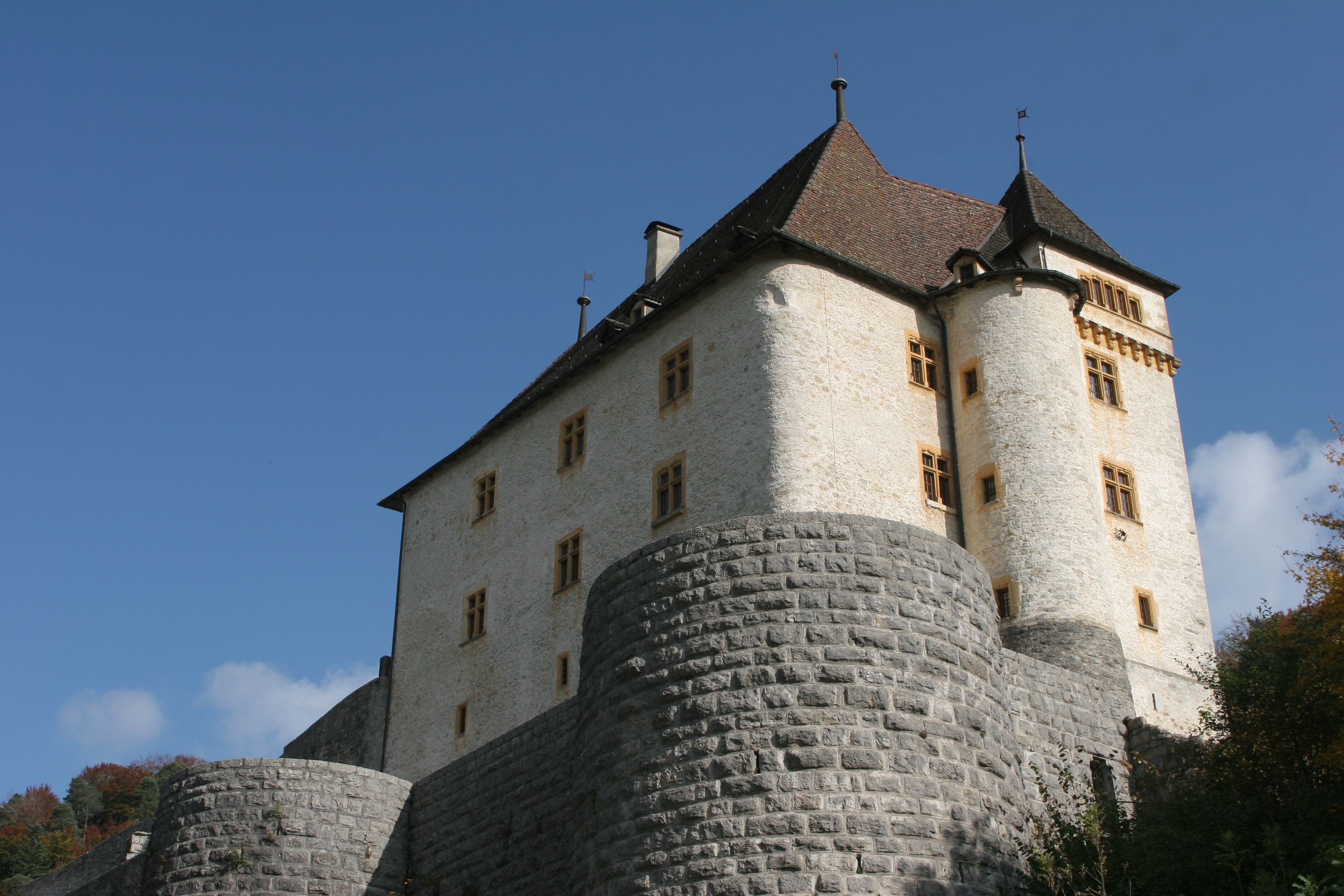 Castle and its Fortifications
