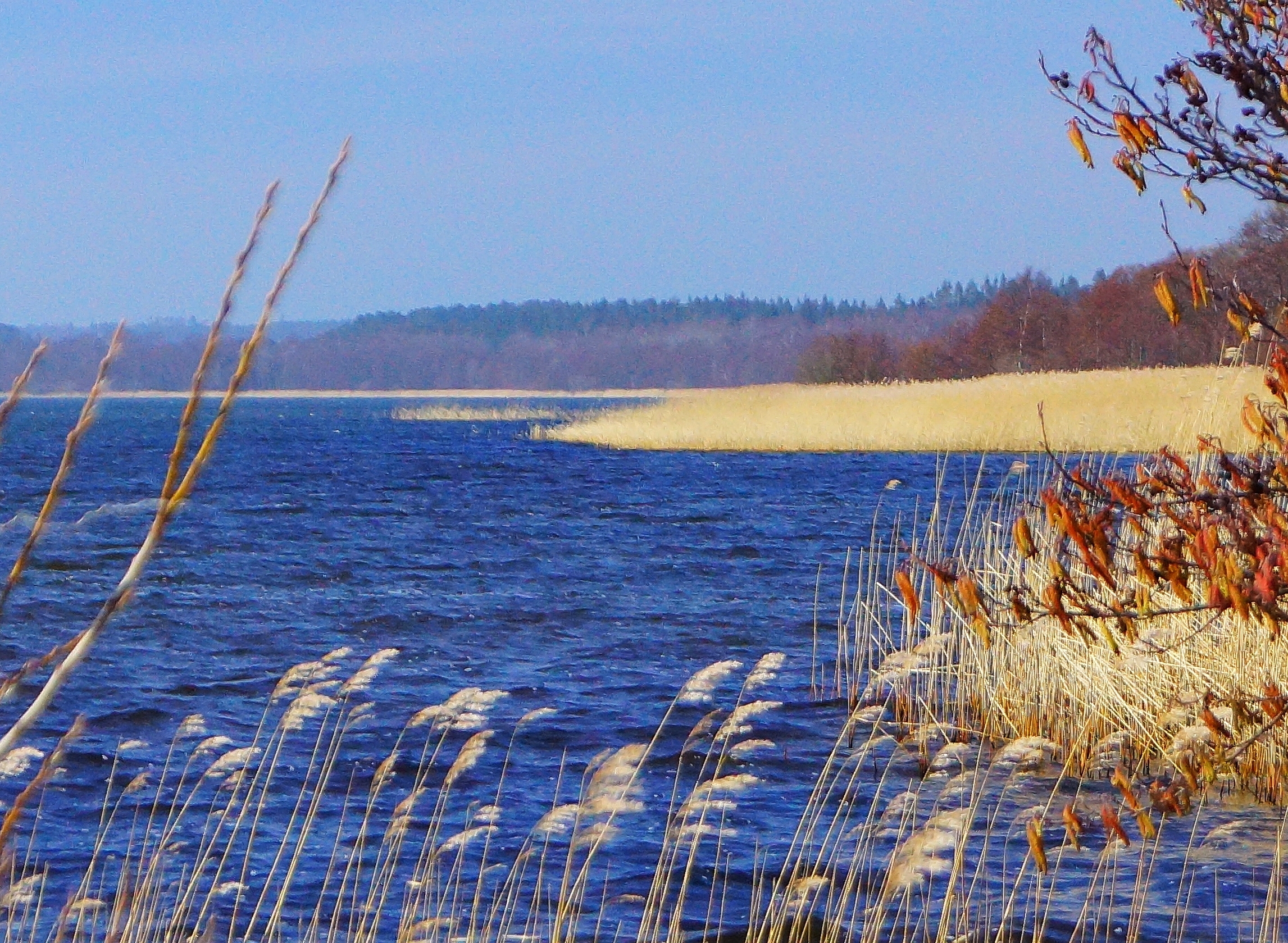 Lake Stubbe