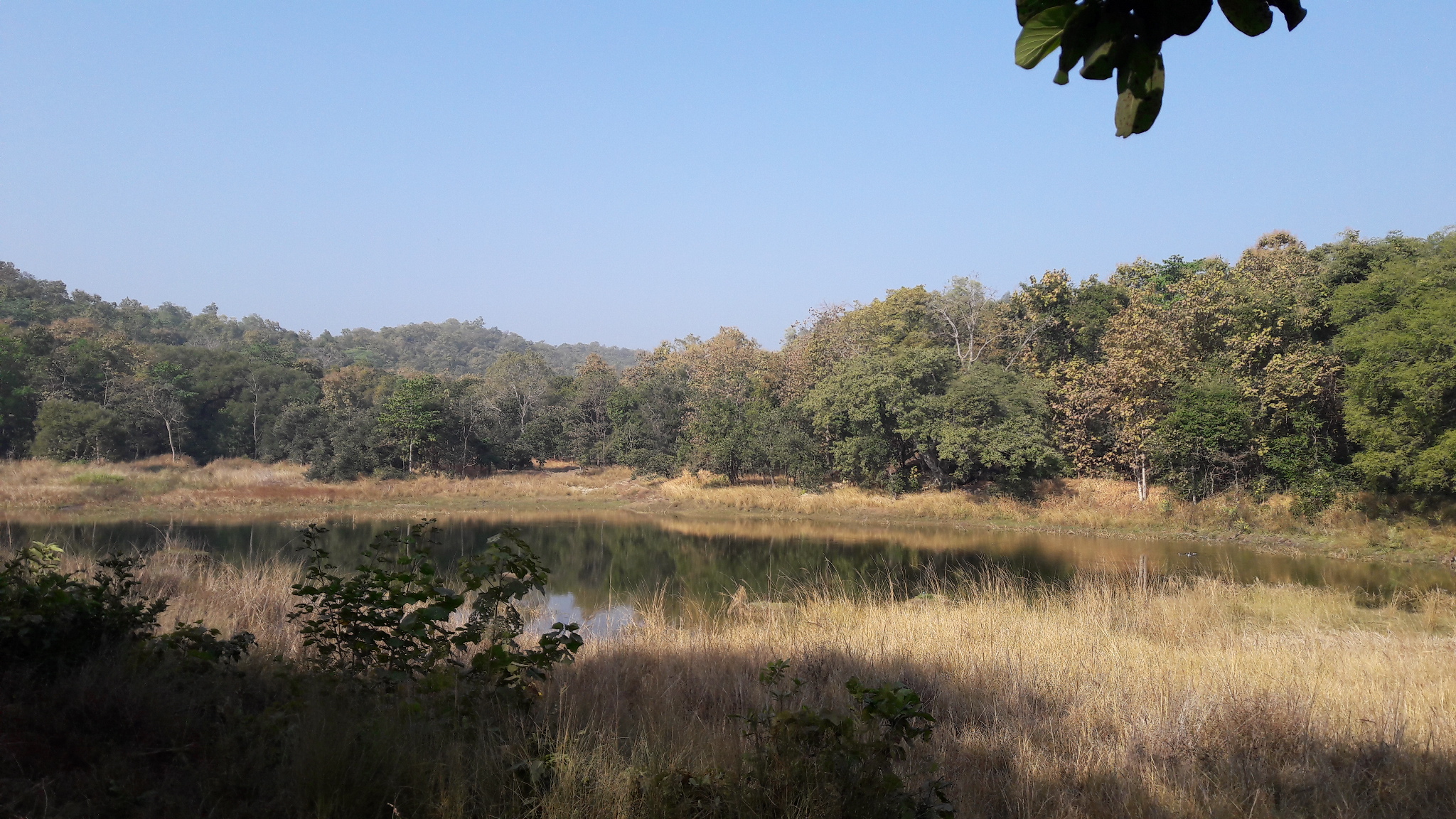 Pench National Park