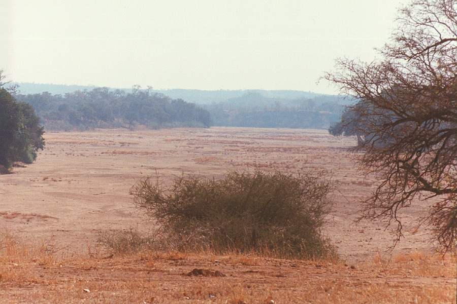 Gonarezhou National Park