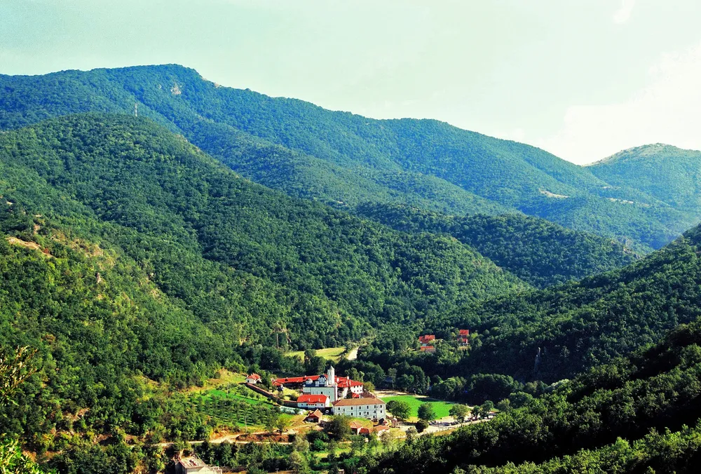 Kozjak