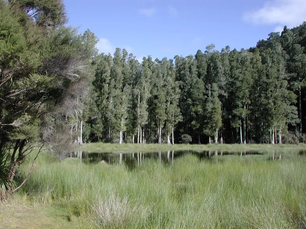 Arohaki Lagoon