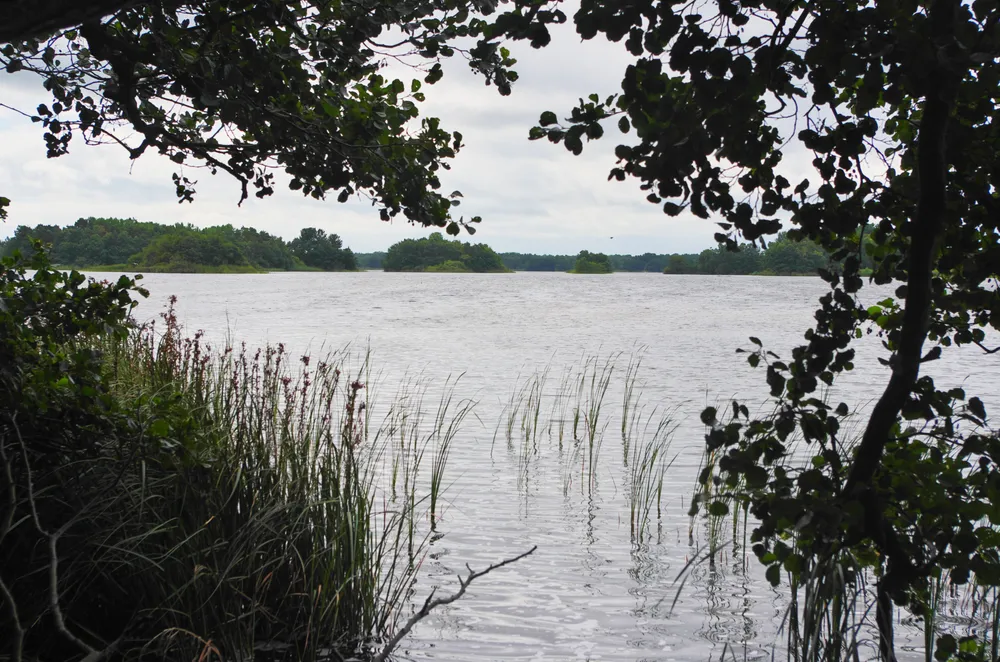 Hornsjön