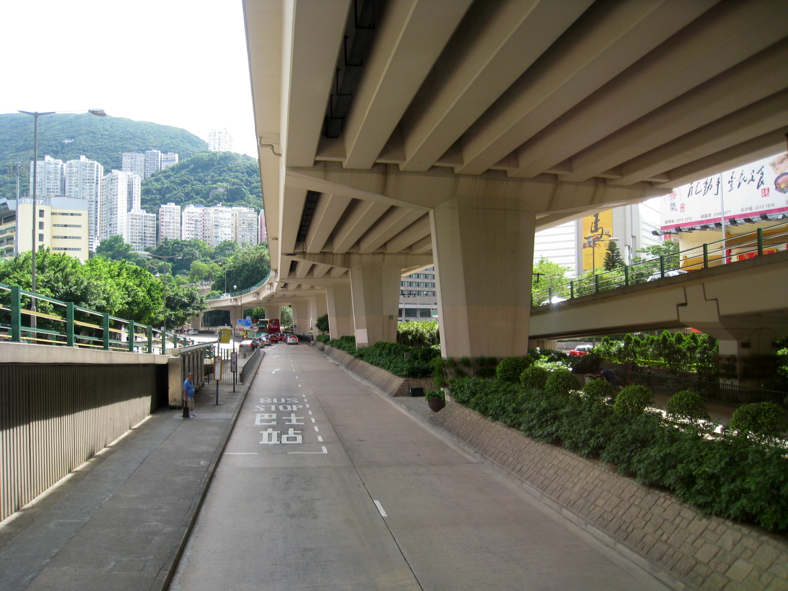 Canal Road Flyover
