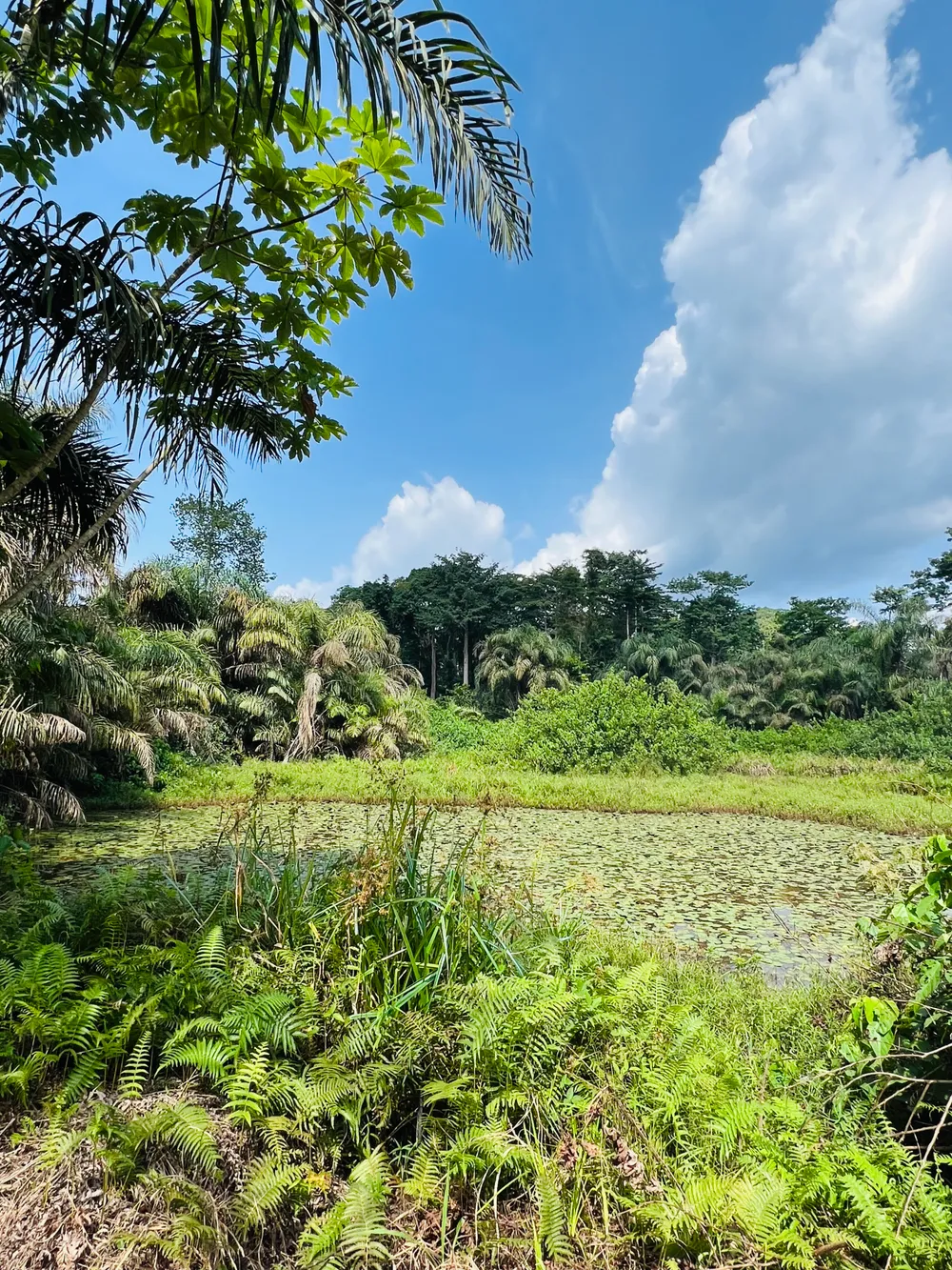 Bia National Park