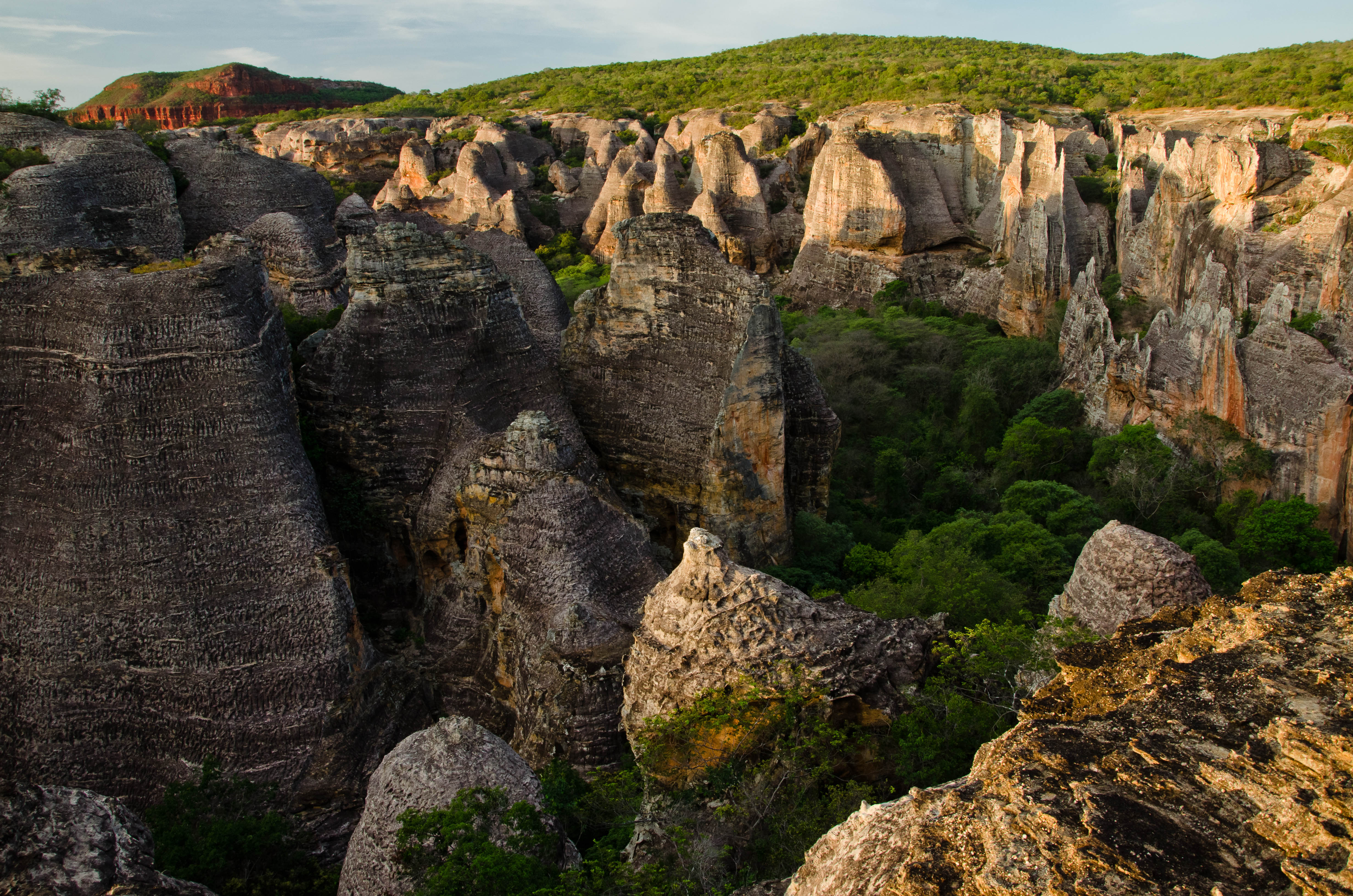 Serra da Capivara National Park