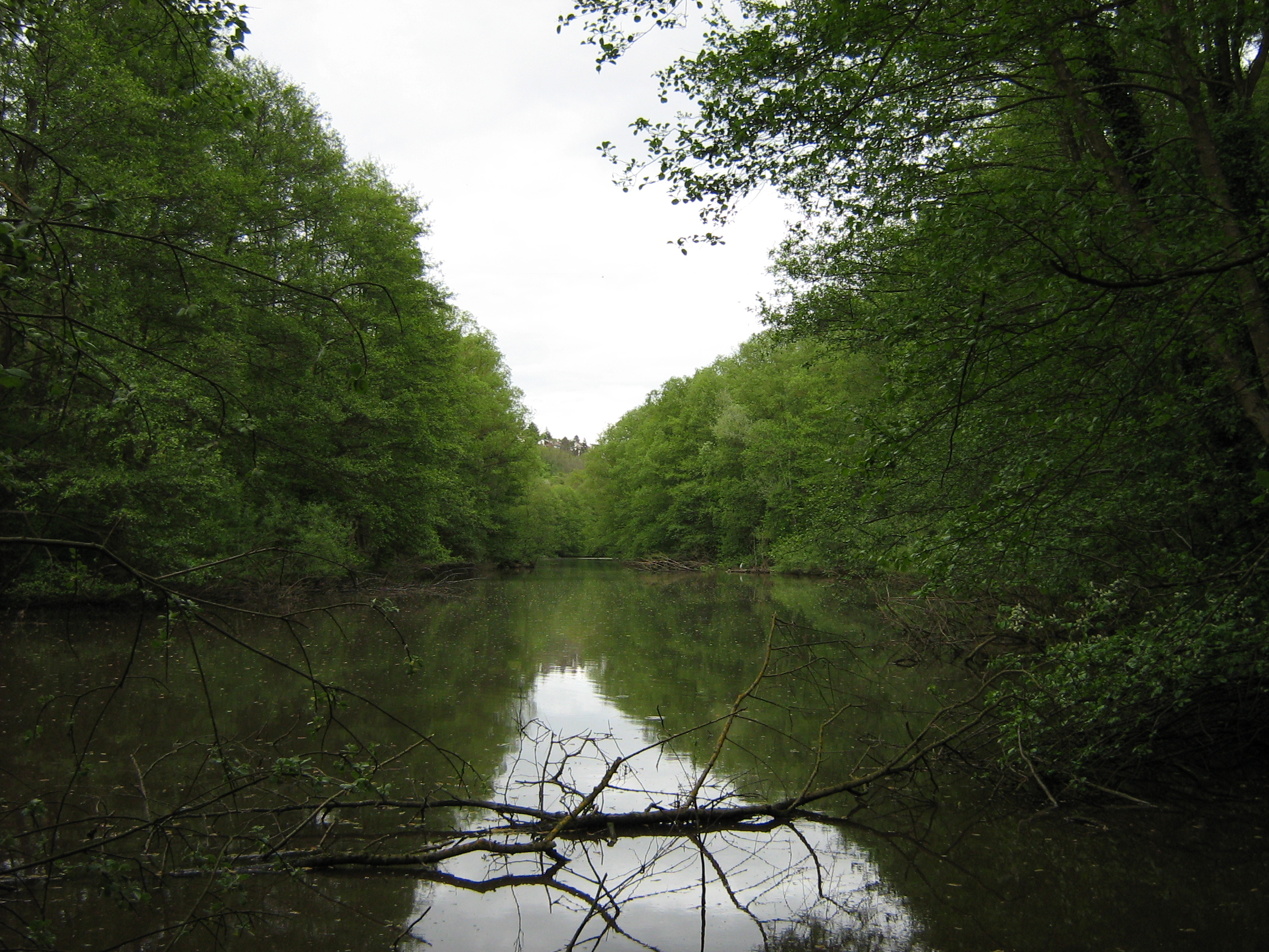 Eckbachweiher