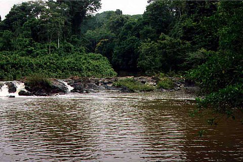 Amazônia National Park