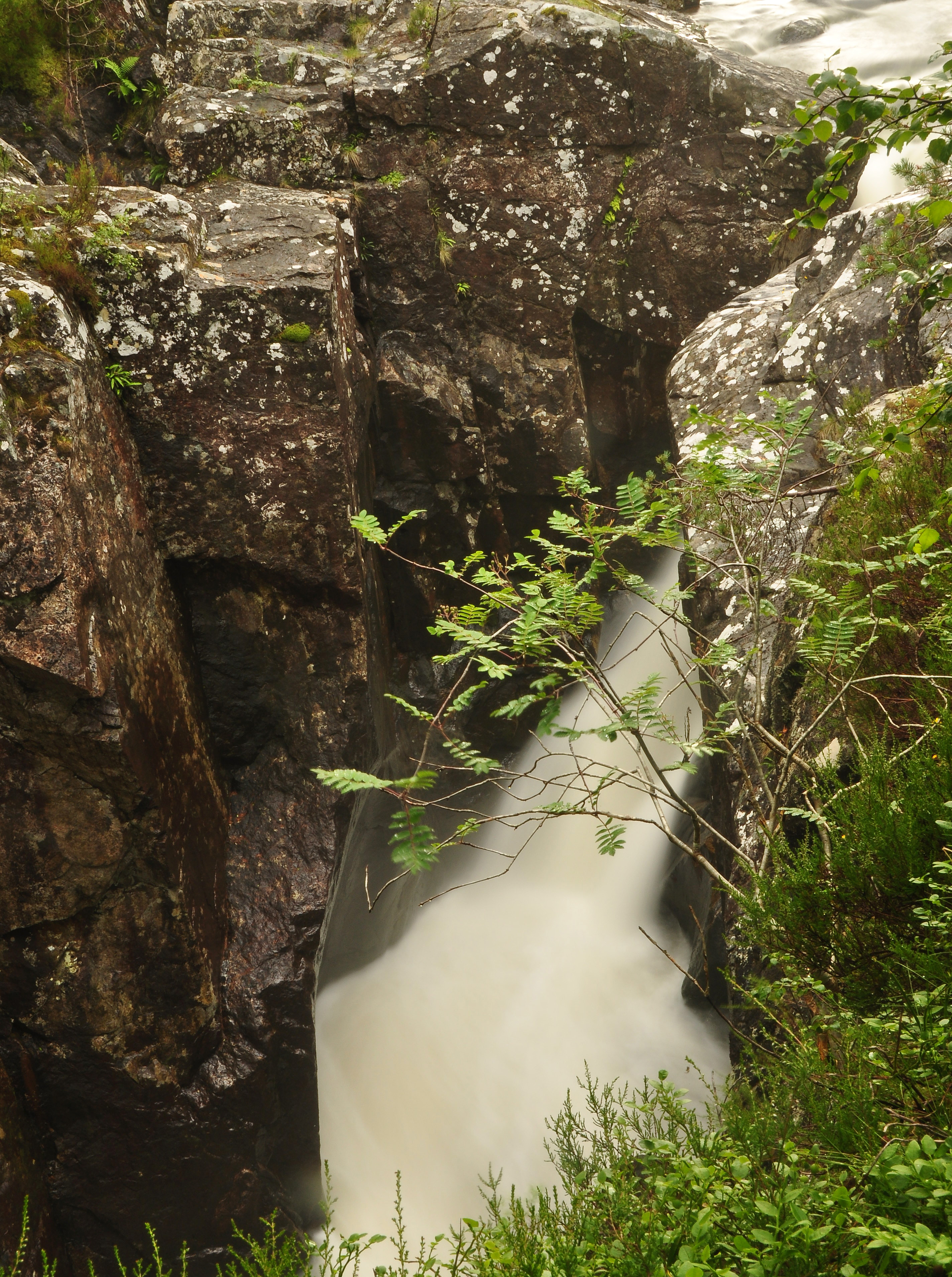 Dog Falls